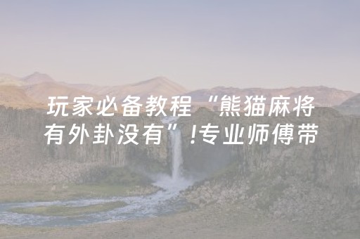 实测教程“手机打麻将机胡牌神器（助赢神器通用版）