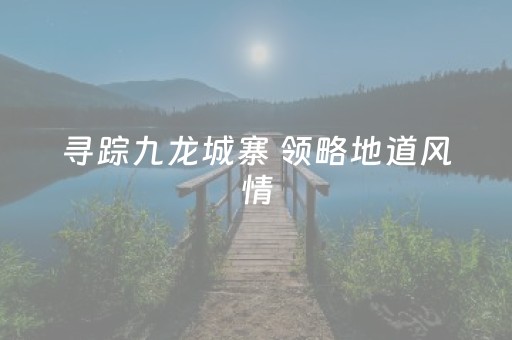 玩家实测“决胜麻将助手软件（专用辅牌神器免安装）