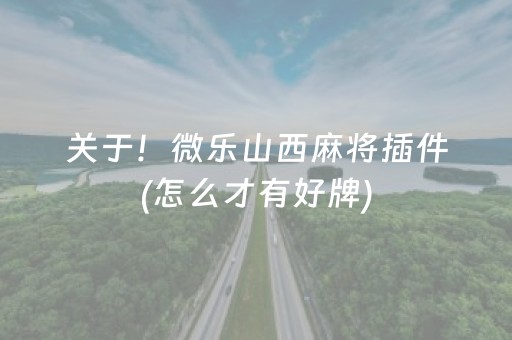 胜率设置方法“星悦云南麻将胡牌神器（助赢神器通用版）