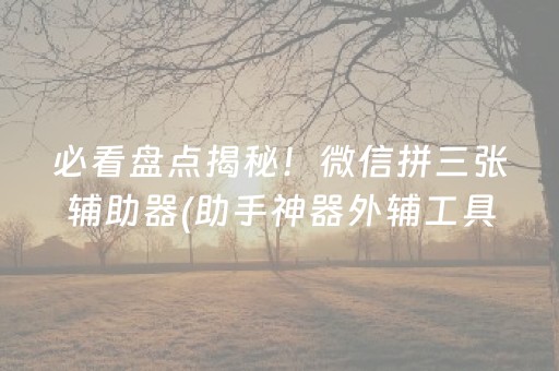 必看盘点揭秘！微信拼三张辅助器(助手神器外辅工具)