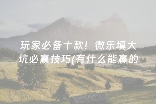 玩家必备十款！微乐填大坑必赢技巧(有什么能赢的方法)