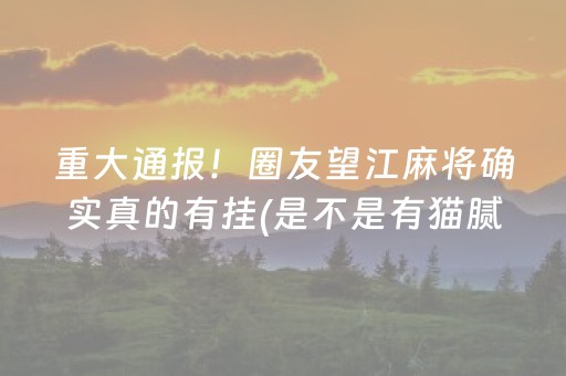 实测结果“微信小程序麻将有挂吗（专用辅牌神器免安装）
