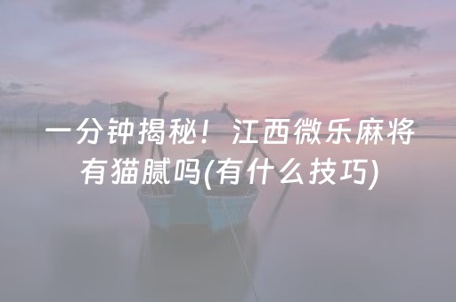 一分钟揭秘！江西微乐麻将有猫腻吗(有什么技巧)