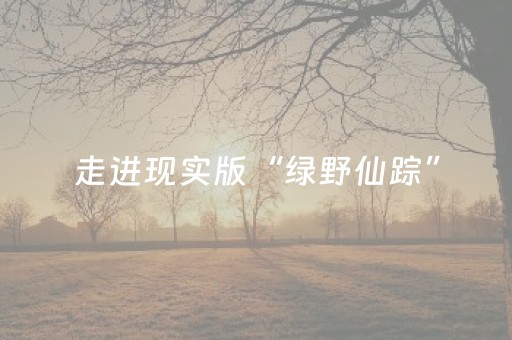实测分享“广东雀神麻雀辅助器免费安装（专用辅牌神器免安装）
