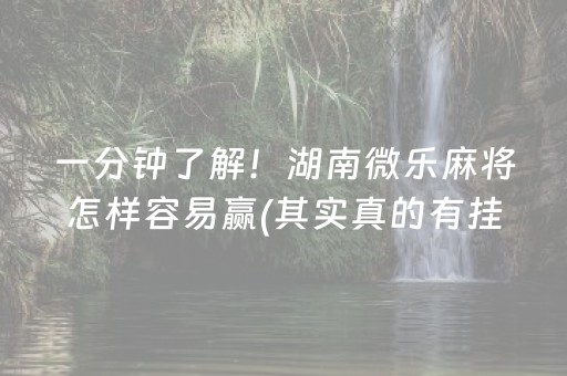 一分钟了解！湖南微乐麻将怎样容易赢(其实真的有挂)