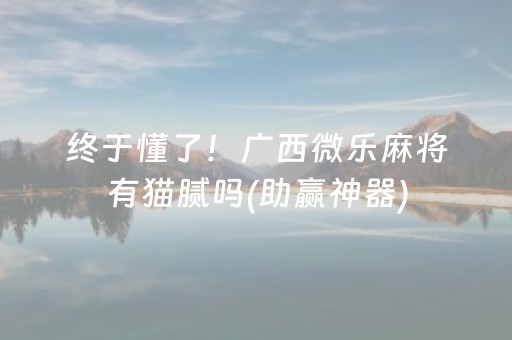 终于懂了！广西微乐麻将有猫腻吗(助赢神器)