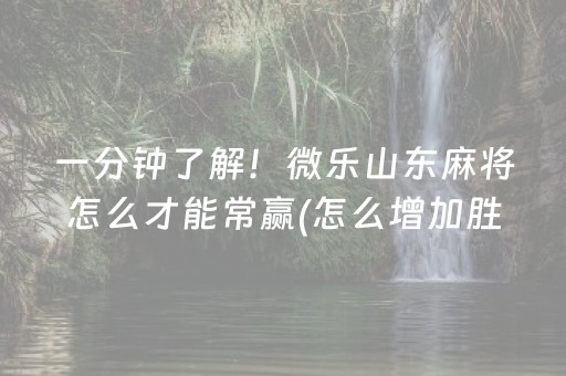 一分钟了解！微乐山东麻将怎么才能常赢(怎么增加胜率)