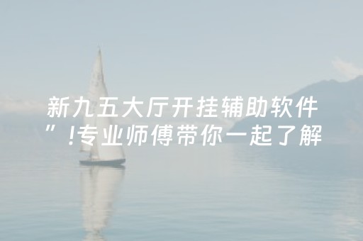 新九五大厅开挂辅助软件”!专业师傅带你一起了解（详细教程）-抖音