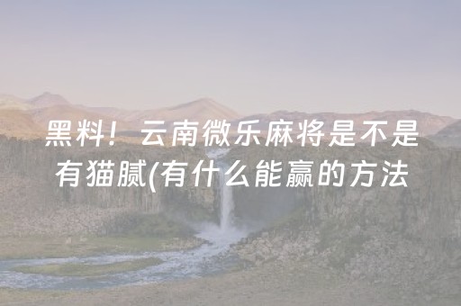 黑料！云南微乐麻将是不是有猫腻(有什么能赢的方法)