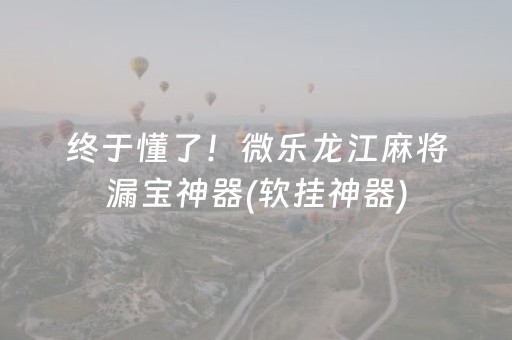 终于懂了！微乐龙江麻将漏宝神器(软挂神器)