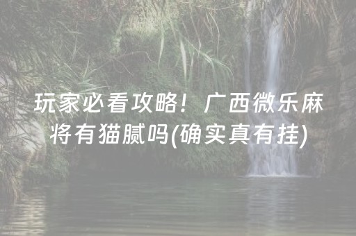 玩家必看攻略！广西微乐麻将有猫腻吗(确实真有挂)