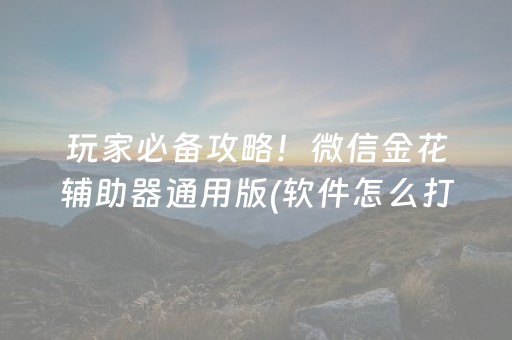 教程辅助“决胜麻将游戏有挂吗（专用辅牌神器免安装）