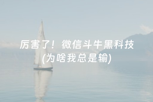胜率设置方法“手机十三水胜率辅助器（专用辅牌神器免安装）