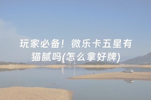 玩家必备！微乐卡五星有猫腻吗(怎么拿好牌)
