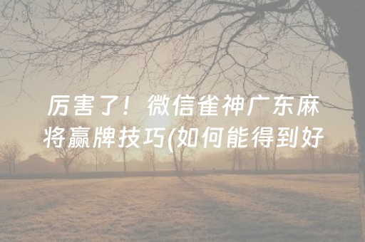 厉害了！微信雀神广东麻将赢牌技巧(如何能得到好牌)