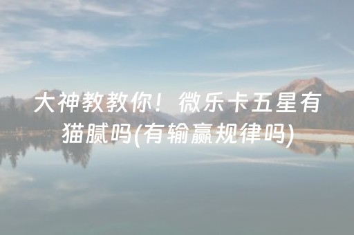 大神教教你！微乐卡五星有猫腻吗(有输赢规律吗)