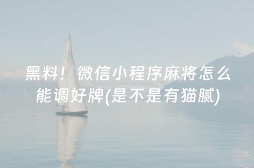 黑料！微信小程序麻将怎么能调好牌(是不是有猫腻)