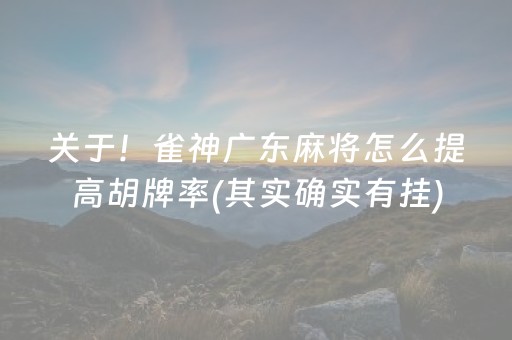 关于！雀神广东麻将怎么提高胡牌率(其实确实有挂)