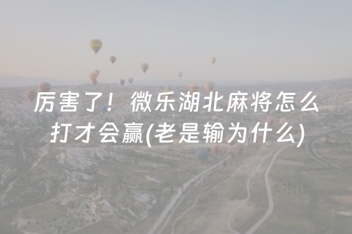 3分钟学会“广东雀神辅助器插件（专用辅牌神器免安装）