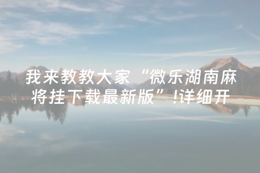 玩家必备教程“微乐插件胜率设置（专用辅牌神器免安装）