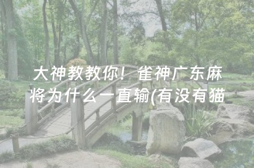 终于发现“微乐四川麻将助赢神器（助赢神器通用版）