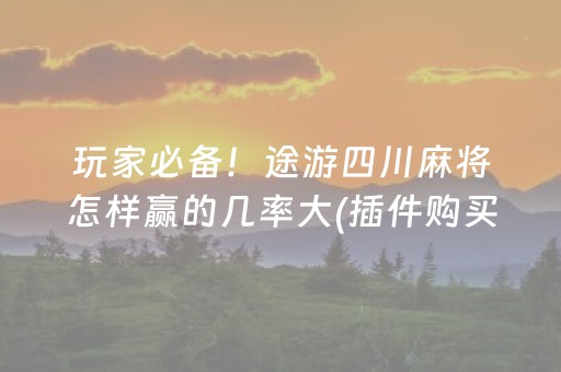 玩家必备！途游四川麻将怎样赢的几率大(插件购买输赢规律)