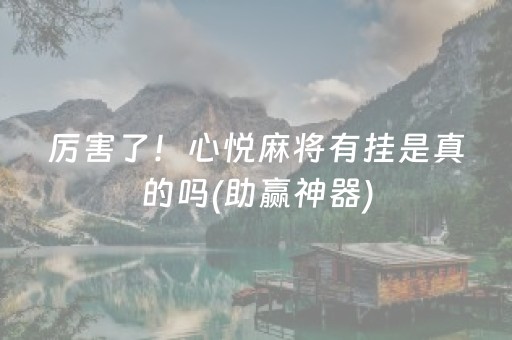 必看教程“功夫川麻辅助器v3.5.4在哪儿购买（专用辅牌神器免安装）