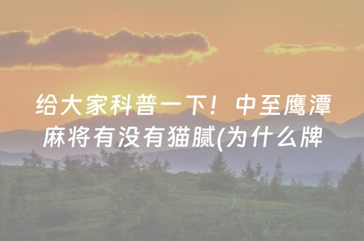 分享辅助“微乐捉鸡麻将控牌器（专用辅牌神器免安装）
