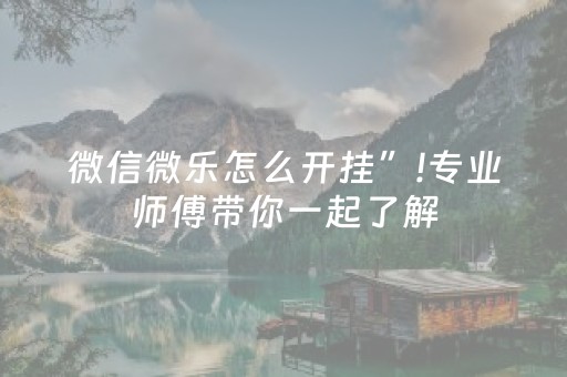 微信微乐怎么开挂”!专业师傅带你一起了解（详细教程）-抖音