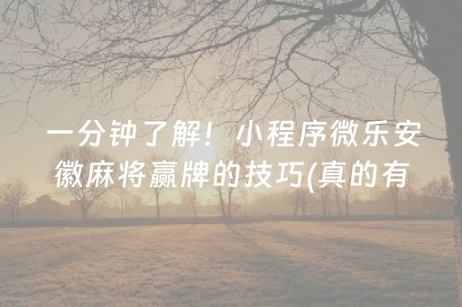 一分钟了解！小程序微乐安徽麻将赢牌的技巧(真的有挂确实有挂)