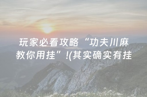 玩家必看攻略“功夫川麻教你用挂”!(其实确实有挂)-抖音