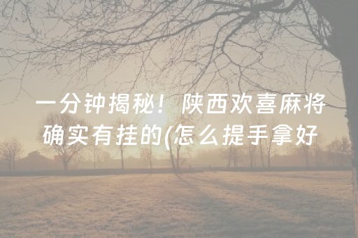 一分钟揭秘！陕西欢喜麻将确实有挂的(怎么提手拿好牌)