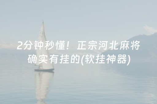 2分钟秒懂！正宗河北麻将确实有挂的(软挂神器)