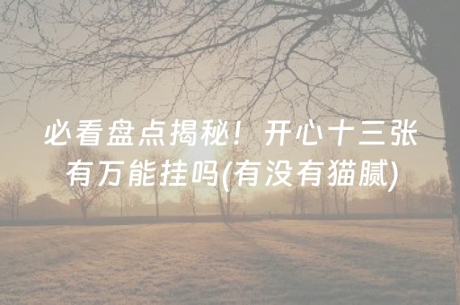 必看盘点揭秘！开心十三张有万能挂吗(有没有猫腻)