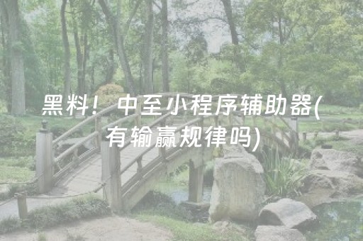 黑料！中至小程序辅助器(有输赢规律吗)