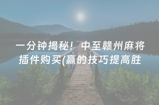 一分钟揭秘！中至赣州麻将插件购买(赢的技巧提高胜率)