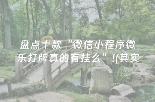 盘点十款“微信小程序微乐打牌真的有挂么”!(其实确实有挂)-抖音