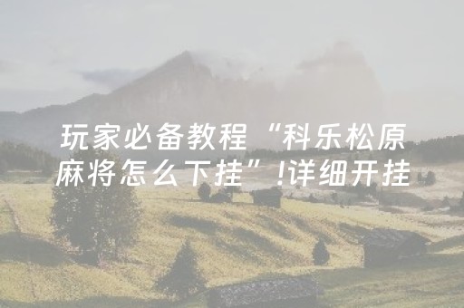 玩家必备教程“科乐松原麻将怎么下挂”!详细开挂教程-抖音