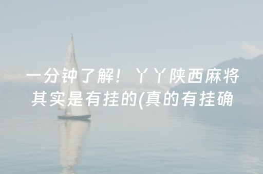 一分钟了解！丫丫陕西麻将其实是有挂的(真的有挂确实有挂)