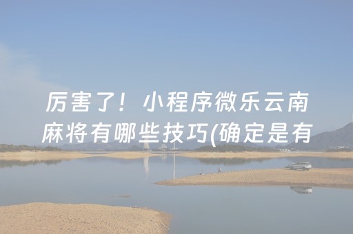 厉害了！小程序微乐云南麻将有哪些技巧(确定是有挂)