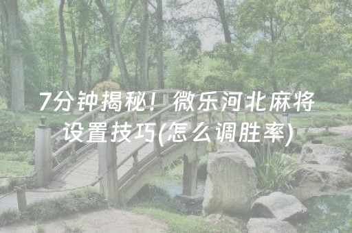 7分钟揭秘！微乐河北麻将设置技巧(怎么调胜率)