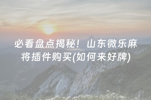 必看盘点揭秘！山东微乐麻将插件购买(如何来好牌)