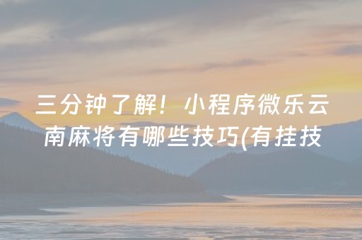 三分钟了解！小程序微乐云南麻将有哪些技巧(有挂技巧辅助器)