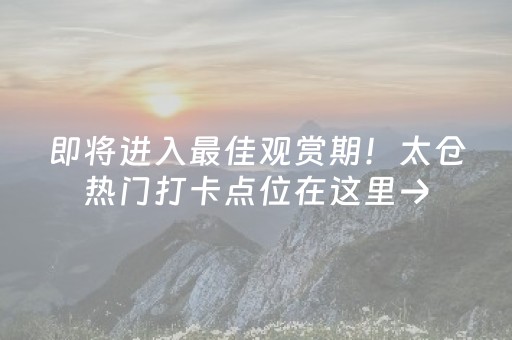 教程辅助“微信小程序麻将软件神器（助赢神器通用版）