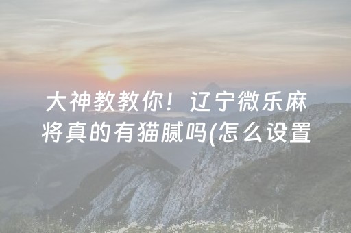 大神教教你！辽宁微乐麻将真的有猫腻吗(怎么设置会赢)