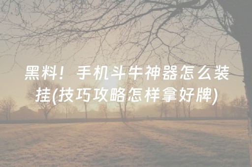 黑料！手机斗牛神器怎么装挂(技巧攻略怎样拿好牌)