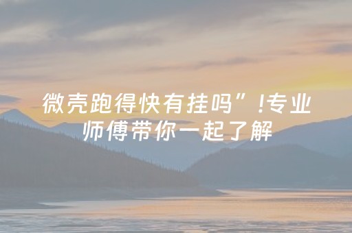 微壳跑得快有挂吗”!专业师傅带你一起了解（详细教程）-抖音