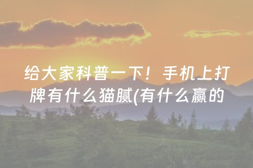 给大家科普一下！手机上打牌有什么猫腻(有什么赢的技巧)