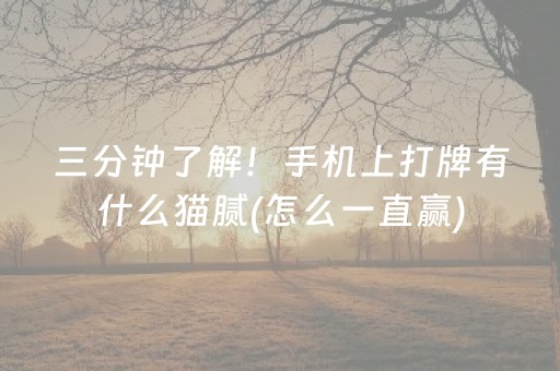 三分钟了解！手机上打牌有什么猫腻(怎么一直赢)