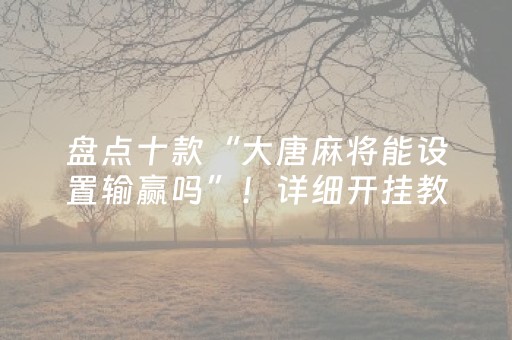 玩家必备教程“微乐开挂神器（助赢神器通用版）